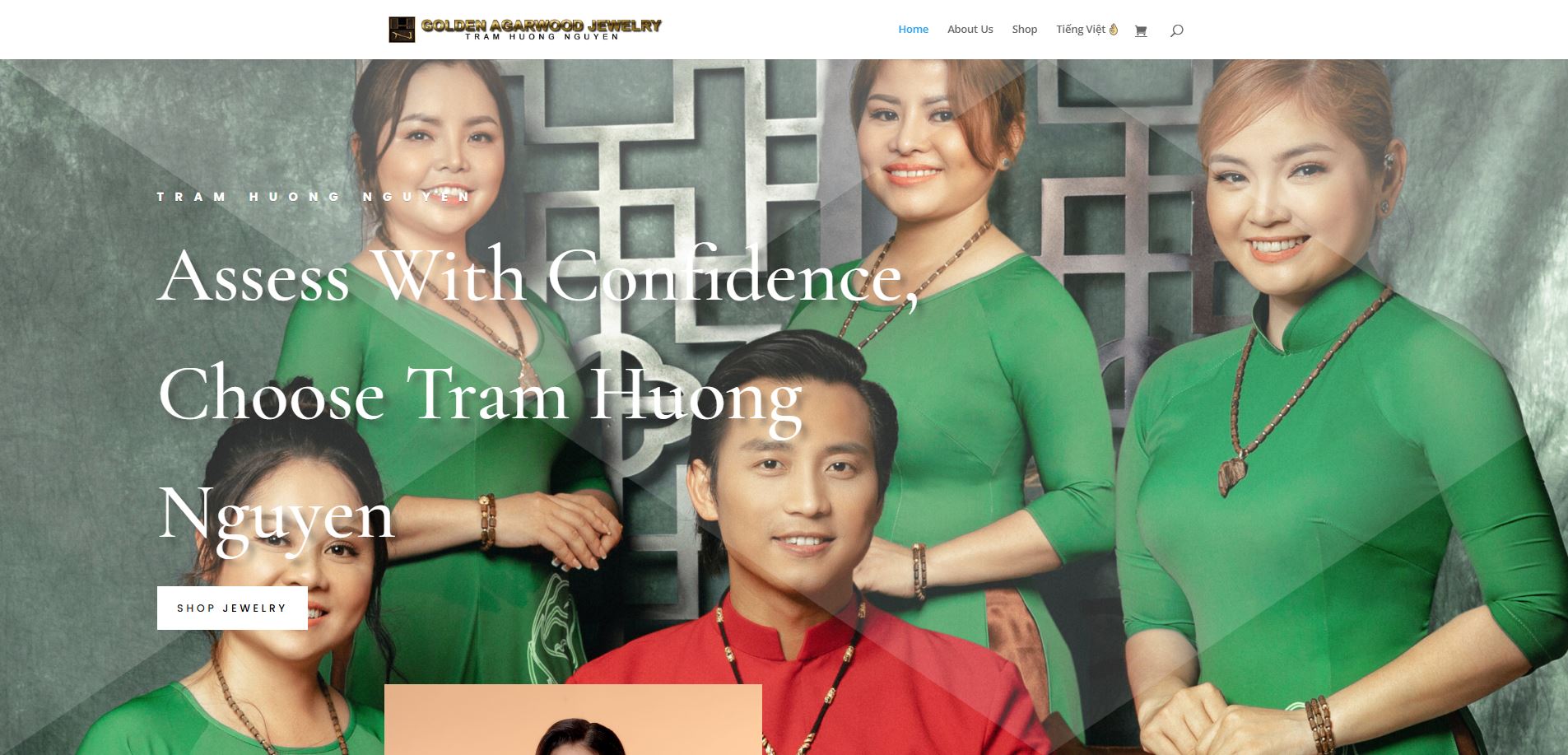 Tram Huong Nguyen website